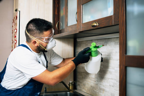 Best Pest Control for Businesses  in Eagle, NE