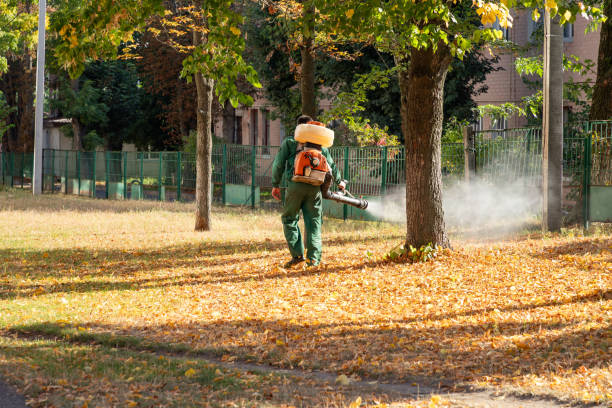 Best Pest Removal Services  in Eagle, NE