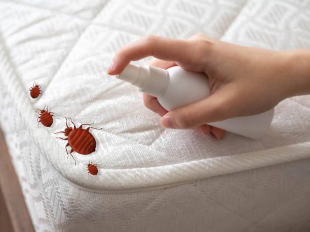 Best Flea Control Services  in Eagle, NE