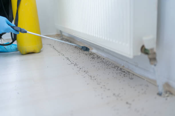 Best Pest Removal Services  in Eagle, NE